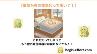 電気毛布の電気代は1ヶ月いくら？エアコンとの差額に驚愕！【2025年最新徹底比較】