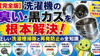 【完全版】洗濯機の臭い・黒カスを根本解決！正しい洗濯槽掃除と再発防止の全知識